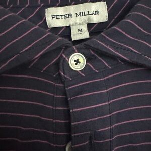 Peter Millar Men's Shirt in Navy and Pink Stripes